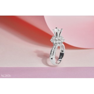 Vỏ nhẫn NC2076
